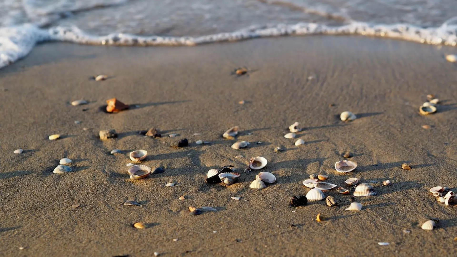Ferienwohnung Find Peace Near The Sea In Our Welcoming Flat Bibione 0*,  Italien
